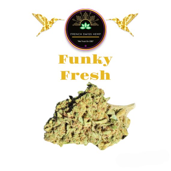 Fleurs de CBD "Funky Fresh" FSH Greenhouse